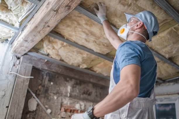 Best Insulation for Specific Applications in Pupukea, HI